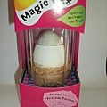 今年荍到衣樣特別的生日禮物：魔術蛋！