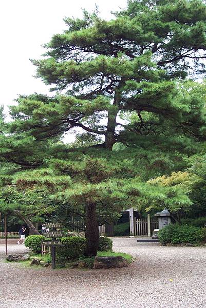 岐阜-岐阜公園