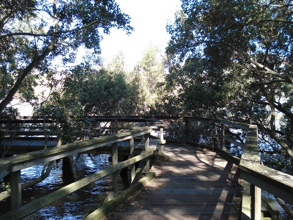 City Botanic Gardens(植物園)