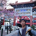 China Town散步