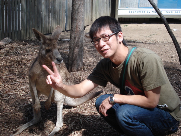 Kangaroo和我