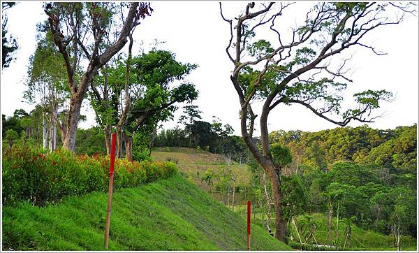 豁然10月美景 (7).JPG