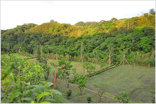 豁然10月美景 (9).JPG