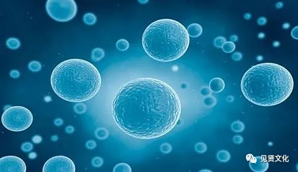 4.增加細胞含氧量,修復細胞功能.png 4.增加細胞含氧量,修復細胞功能.png