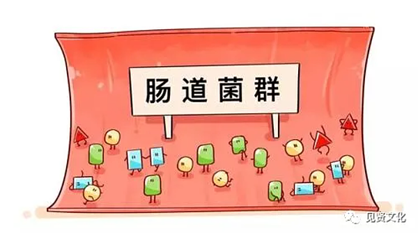 5.提高腸道菌群健康指數.png 5.提高腸道菌群健康指數.png