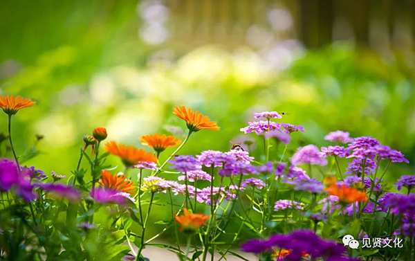 11.讓動物更健康,讓植物生長的更茂盛.png 11.讓動物更健康,讓植物生長的更茂盛.png