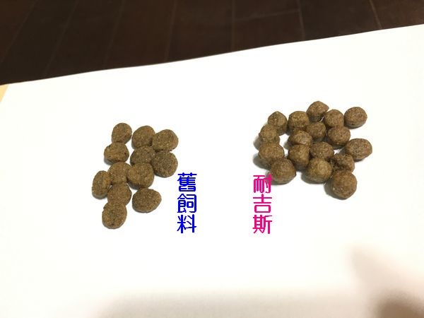 耐吉斯適口性測試