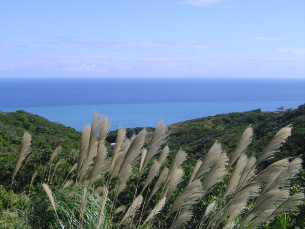 旭海大草原