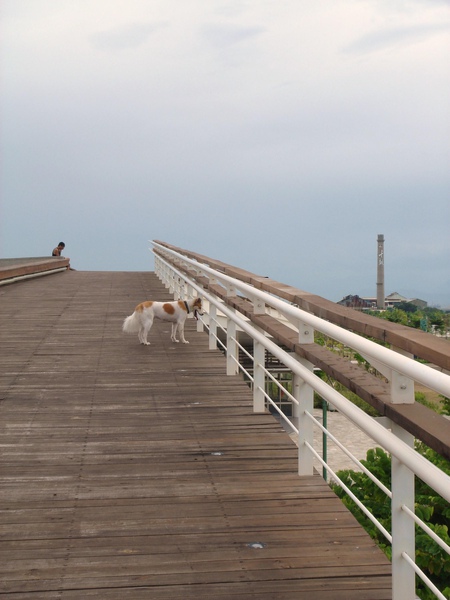 台南都會公園.JPG