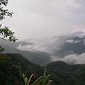 雨後的阿里山