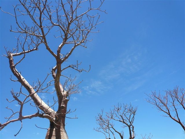 20 難得看到天空有雲啊.JPG