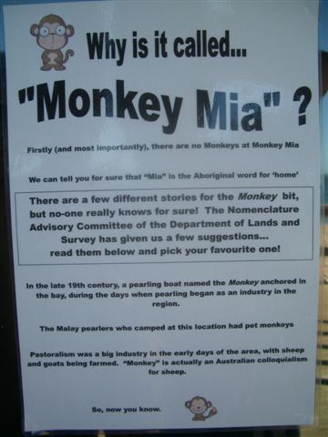 65 為啥叫Monkey Mia….JPG