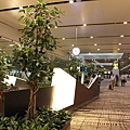 20100506_新加坡機場大廳1.JPG