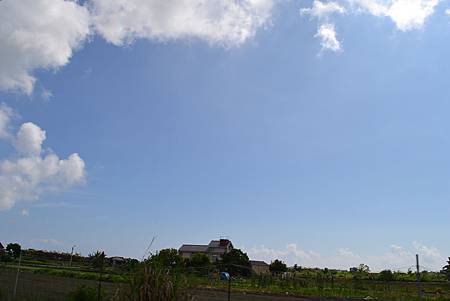 DSC_0455.JPG DSC_0455.JPG