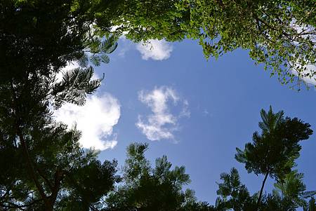 DSC_0540.JPG DSC_0540.JPG