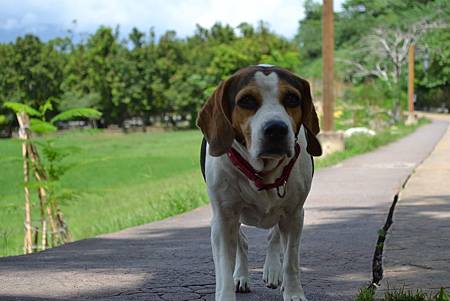 DSC_0561.JPG DSC_0561.JPG