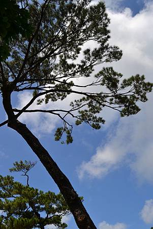 DSC_0606.JPG DSC_0606.JPG