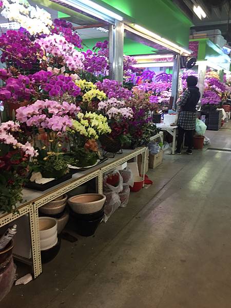 IMG_7487_台北花市.JPG
