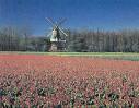 holand.jpg