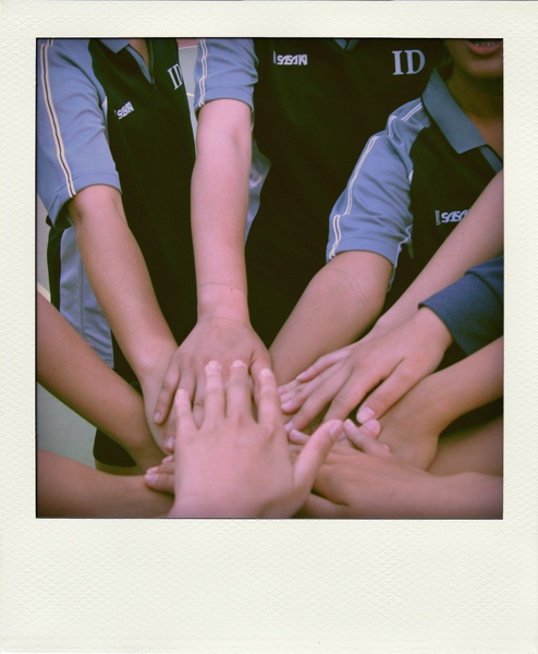 IMG_0774-pola.jpg IMG_0774-pola.jpg