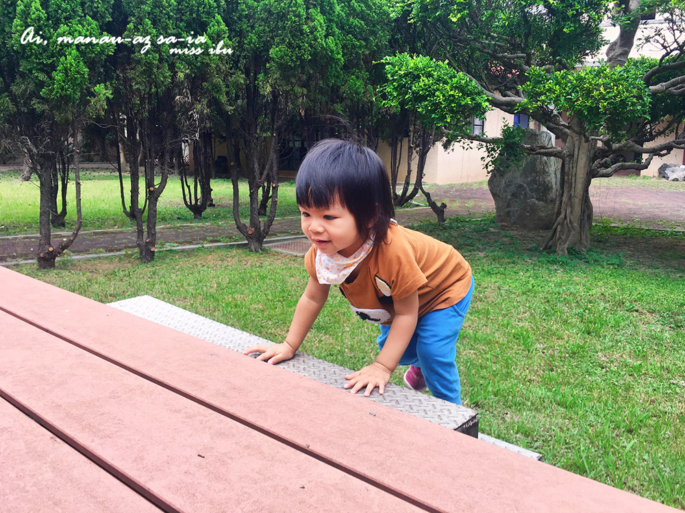 育兒用品~新生兒~5歲都能用的夢幻好物~Newstar 人氣