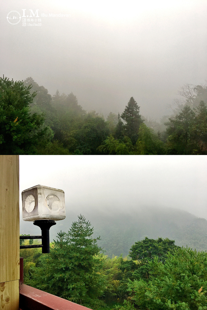 南投溪頭住宿推薦｜金台灣山莊～住進飄渺山嵐間免費品茶、鱒魚兩