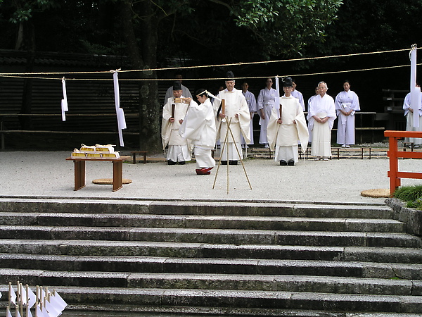 在神社遇到祭儀