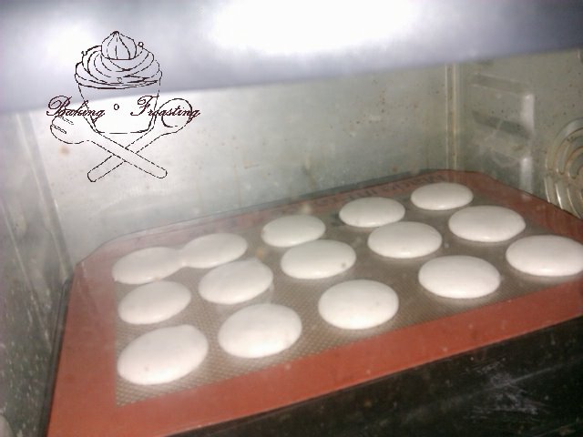 macaron baking