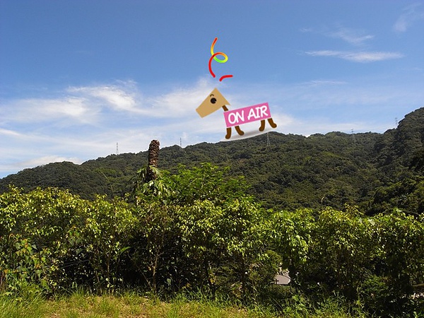 從登山步道遠眺