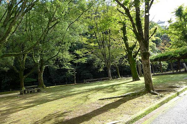 JR AREA PASS一日券游姬路城~铁马自由行 -