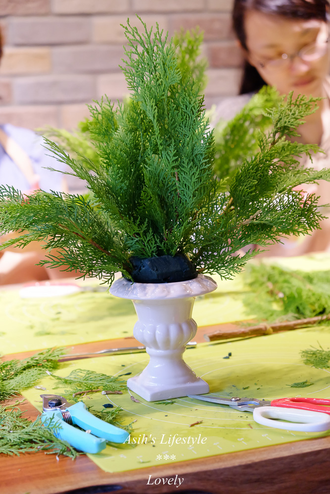 DSCF7434.jpg DSCF7434.jpg