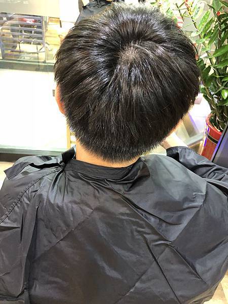 IMG_3356.JPG IMG_3356.JPG