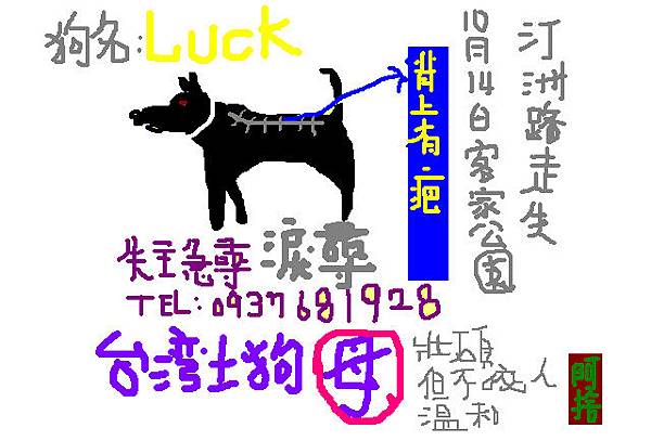 尋狗-Luck