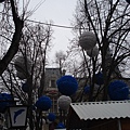 DSC04797.JPG