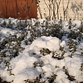 DSC05064.JPG