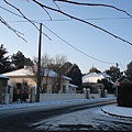DSC05065.JPG