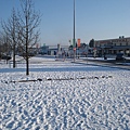 DSC05070.JPG