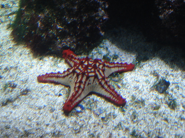 DSC05338.JPG