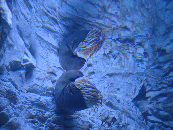DSC05384.JPG