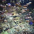 DSC05406.JPG