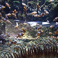 DSC05407.JPG