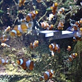 DSC05408.JPG
