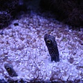 DSC05414.JPG