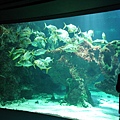 DSC05415.JPG