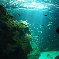 DSC05421.JPG