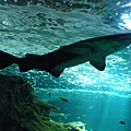 DSC05422.JPG