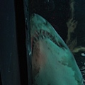 DSC05430.JPG