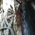 DSC05438.JPG