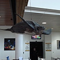 DSC05445.JPG