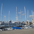 DSC05436.JPG